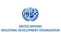 Nigeria, others have not fared well in attaining SDGs — UNIDO