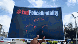 #EndSARS: Ex-Police boss identifies lack of courses on human right, poor remuneration as responsible for police brutality