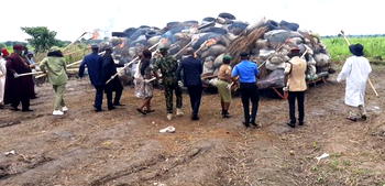 Insurgents in North East funded from illicit drug trade ― NDLEA Chairman