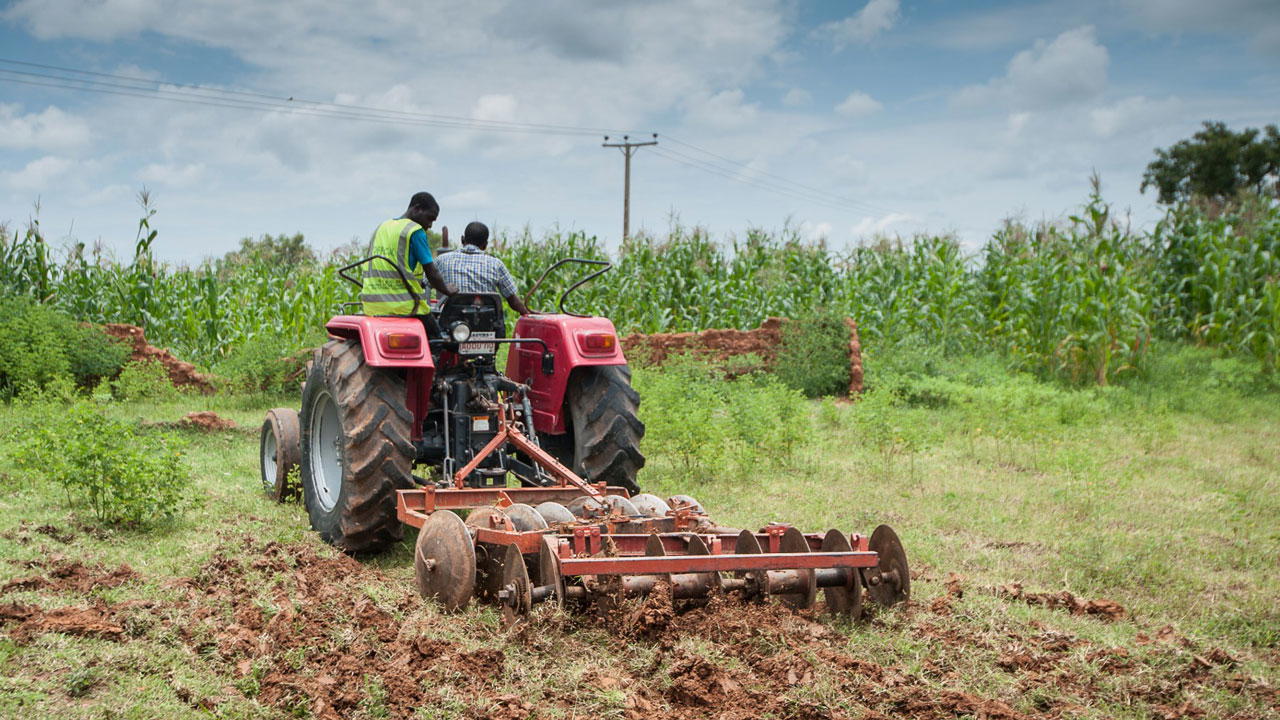 Why are Nigerians hungry and food insecure?