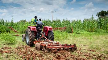 Agribusiness: NALDA moves to reactivate 300 hectares of abandoned farmland