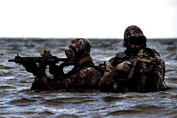 ICYMI: US forces, kill six, rescue American citizen abducted by armed men in Nigeria