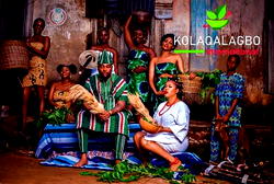Unveiling Nigeria’s first herbal e-commerce platform, Kolaqalagbo