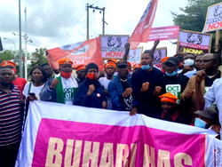 Genuine photos of #RevolutionNow Protesters
