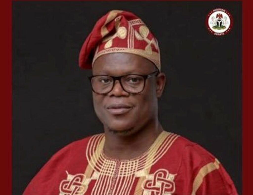 Video: Primaries don’t decide candidates, APC leadership does, says national secretary