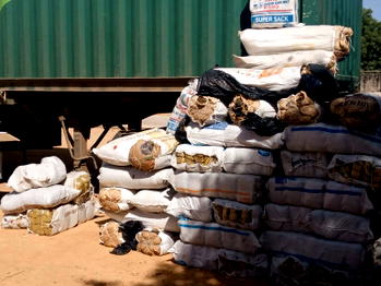NDLEA arrests two-time female convict with 576kg of cannabis sativa in Kano