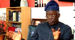 Binani’s acceptance speech confirms she’s party to illegal declaration – Falana