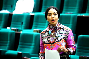 2023: New electoral law won’t guarantee credible polls — Reps Deputy Whip