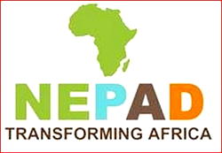 AUDA-NEPAD, strategic partners roll out drums to celebrate 100,000 MSMEs Initiative