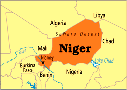 Niger sanctions operators refusing to carry oil to Mali