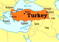 Foreign students body secures scholarship for Nigerians in Turkey
