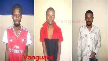 We beheaded vigilante men, took their heads round  our community —Suspected kidnappers