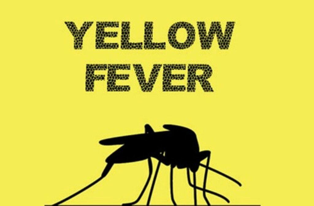 MSF research could save more lives from Yellow fever — Study