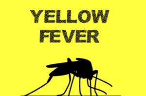MSF research could save more lives from Yellow fever — Study