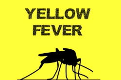 Yellow fever: NCDC announces 14 deaths in 10 states