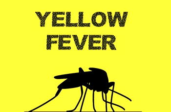Kano LG targets 9,926 children for Yellow fever vaccination