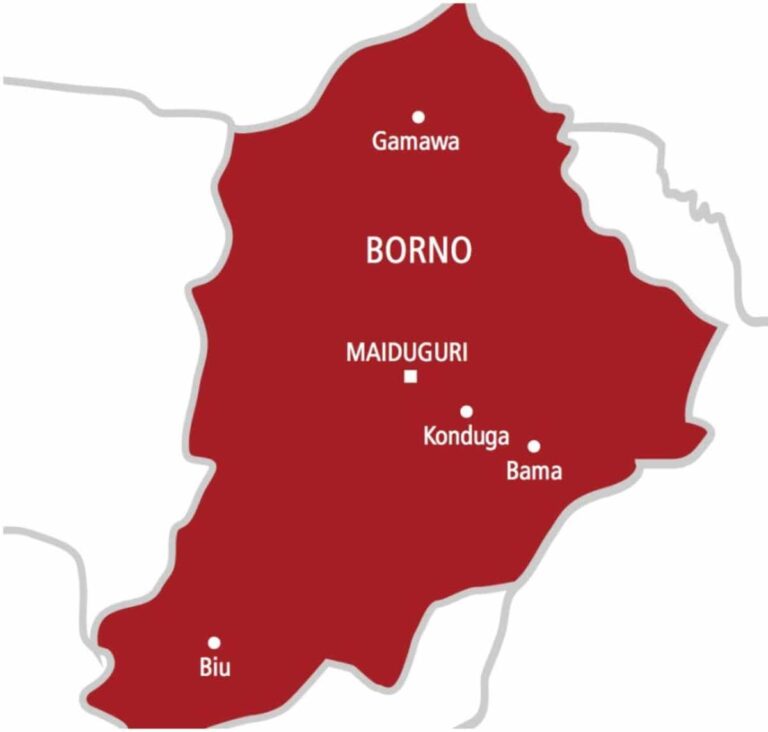 Fight against insurgency, terrorists must continue, says Borno govt ...