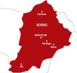 UN launches $2.3m Japan funded oxygen plants, vaccine storage in Borno