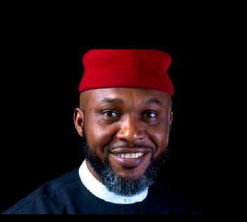 As minister, I moved my daughters to federal government college ― Chidoka