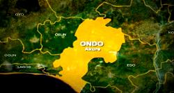 Herders drove us away, built their huts on our farmlands— Ondo farmers