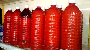 Nigeria’s oil palm capable of contributing $20bn annually to GDP- Inyang