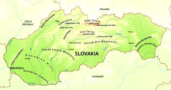 Slovakia alerted Austria about Vienna attacker’s ammunition plans