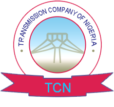 Suspected transmission tower vandal electrocuted in Ebonyi -TCN