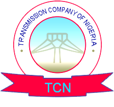 Suspected transmission tower vandal electrocuted in Ebonyi -TCN