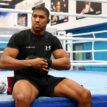 Joshua ‘ll be too tough for Usyk, says Oboh