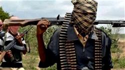 Sokoto Attack: Bandits have turned Nigeria into killing field — Northern group