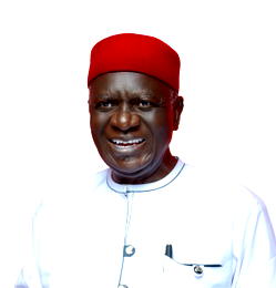 Ohanaeze Ndigbo Leadership: Professor Chidi Osuagwu, a man for the time