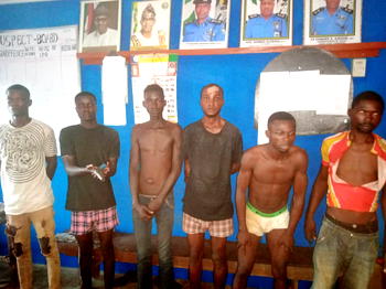 Lagos-based cultists caught buying gun in Ogun