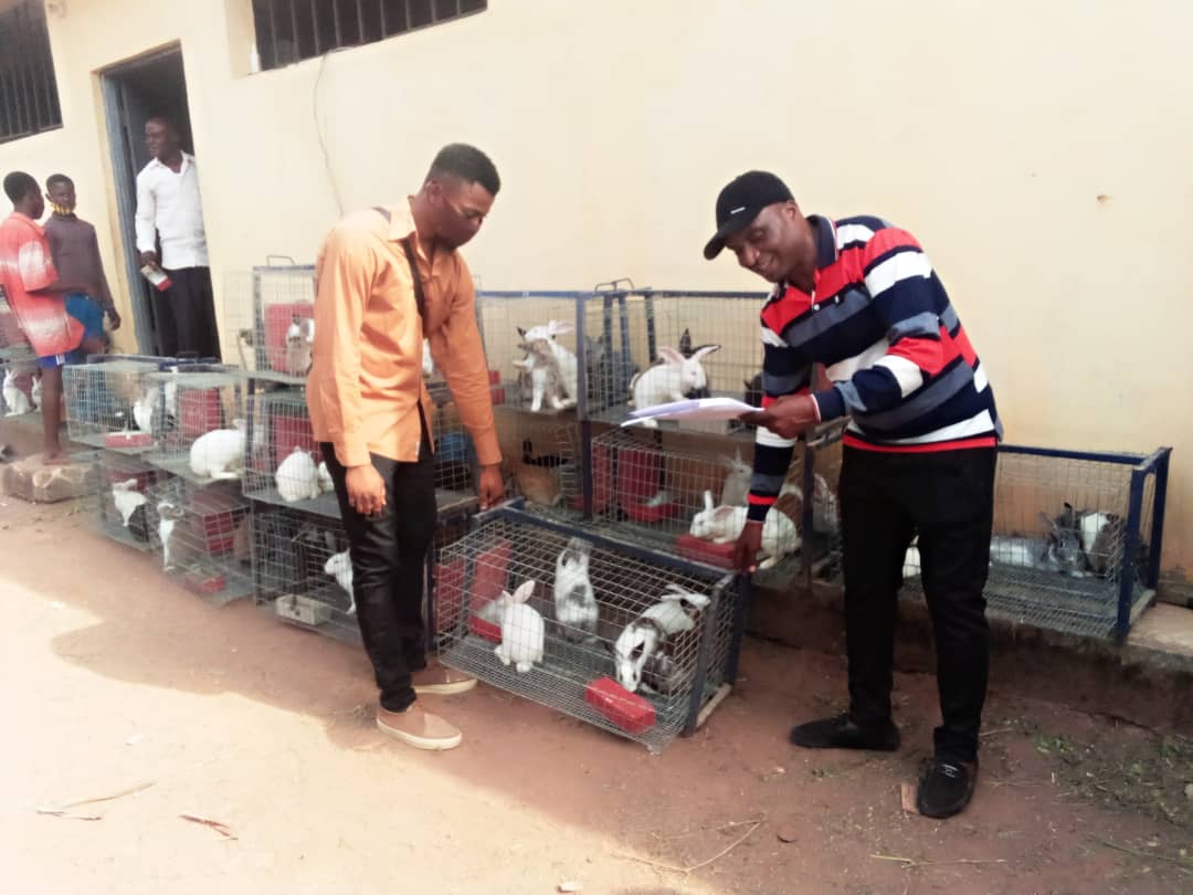 Agribusiness: 100 C’River youths receive 5 rabbits each from NALDA
