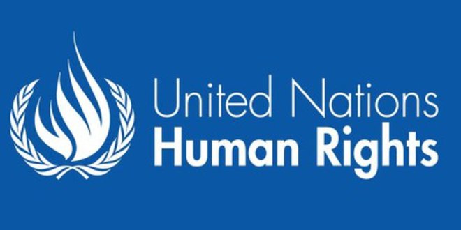 International organization calls for impartial investigations into fatal airstrikes in Nigeria and Chad