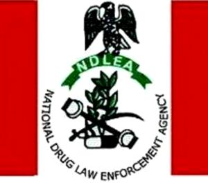 NDLEA Drug addicts not our problem but barons — NDLEA boss