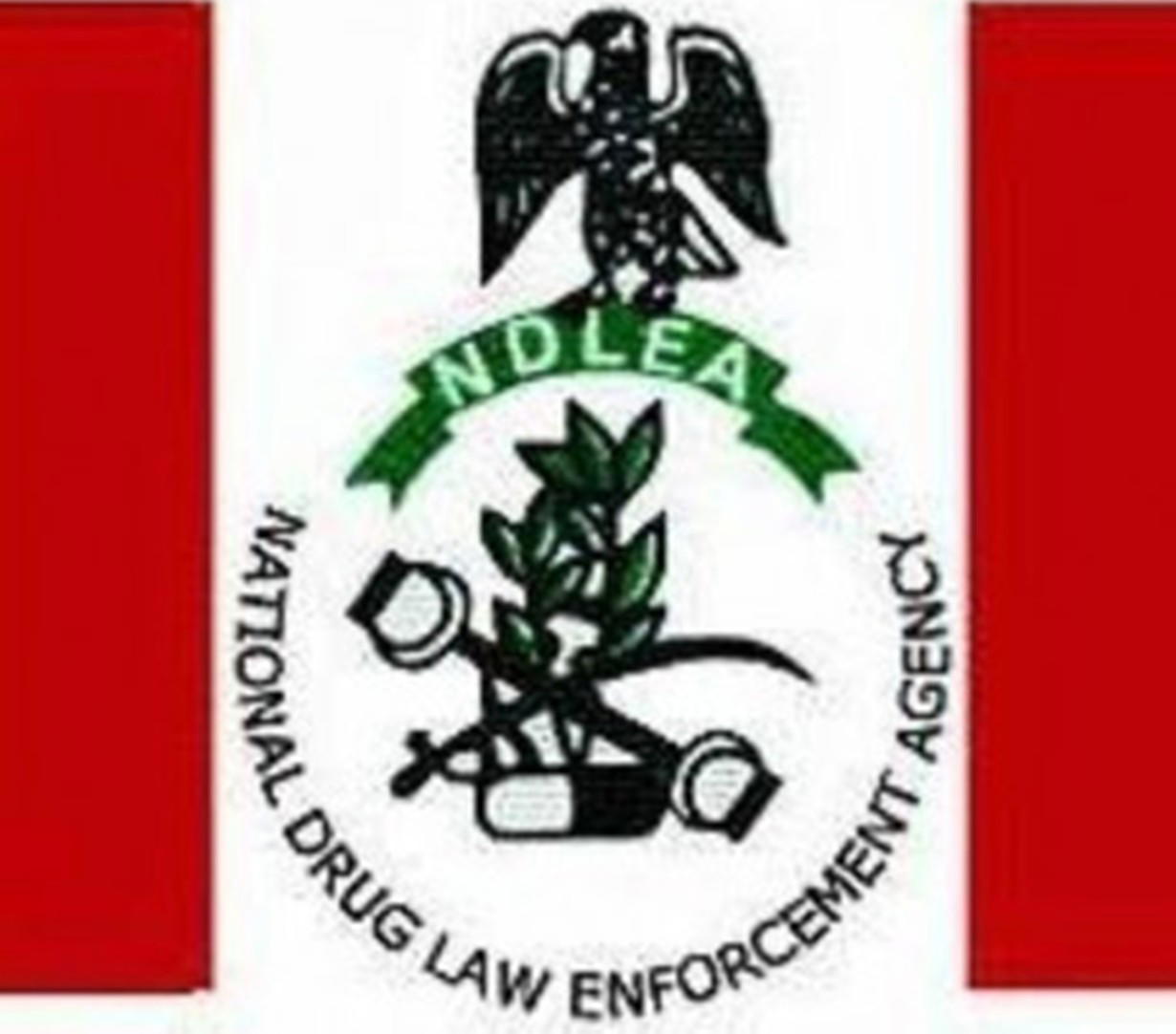 NDLEA Drug addicts not our problem but barons — NDLEA boss