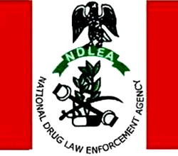 Seme Customs hands over illicit drugs to NDLEA