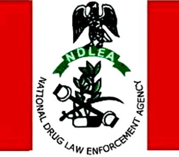 Seizures at ports: Stakeholders task NDLEA on respect for rules of engagement