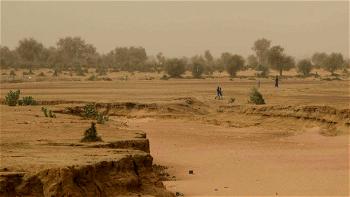 Explainer: What is the Sahel and why is it so important?