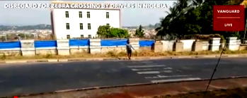 Civilisation test: Do you stop for pedestrians on zebra crossing? (VIDEO)