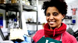 Ethiopian symbol of integration in Italy killed