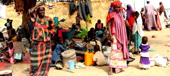 Hundreds of fleeing residents return after Boko Haram attacks in Borno communities