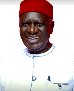 OHANAEZE NDI IGBO: Professor Chidi Osuagwu and the call for a greater Igbo nation