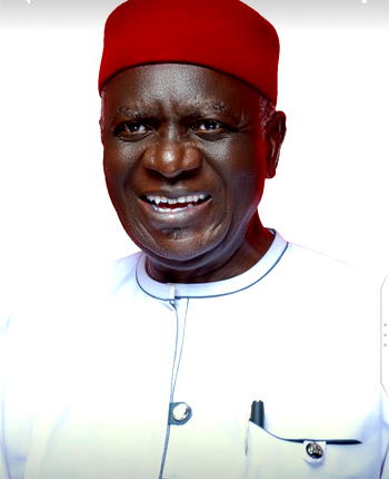 OHANAEZE NDI IGBO: Professor Chidi Osuagwu and the call for a greater Igbo nation