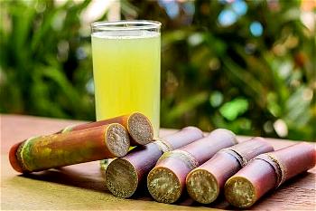 Experts recommend sugarcane consumption for boosting immunity, preventing cancer, others