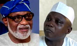Herdsmen: YCE, Afenifere, M-Belt Forum, SANs back Ondo gov