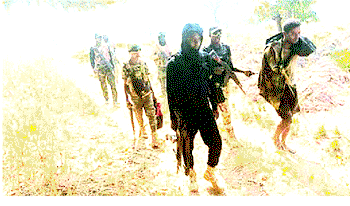 Role of Insurance in the face of increasing insecurity and pandemic