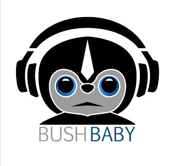 Our focus is to explore new sounds, talents in Nigeria – Bushbaby Empire