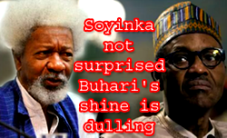 21 quotes from Professor Soyinka on President Buhari