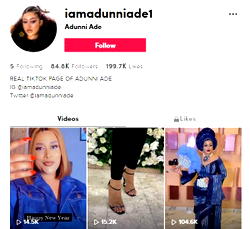 Adunni Ade’s warmth, charm TikTok’s highlights for January